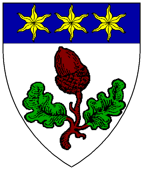 The arms of Aaron of Lichgreen