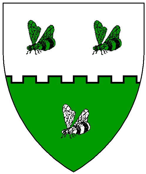 The arms of Bryony Beehyrd