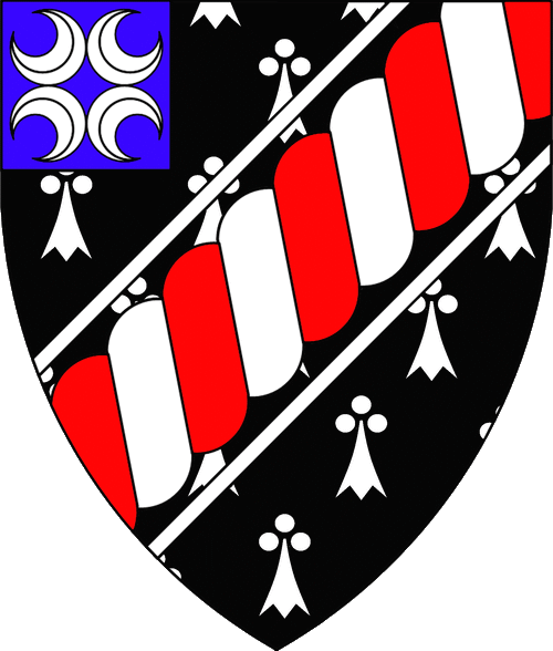 The arms of Callum Macleod