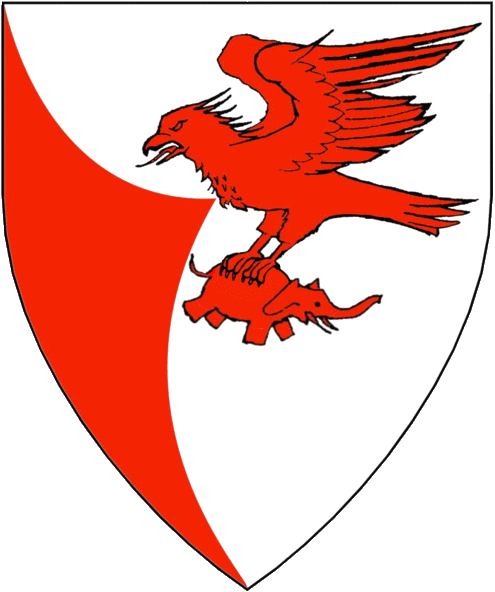 The arms of Günther Boppfinger