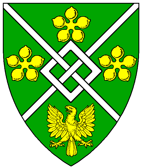 The arms of Ulrich von Mannheim